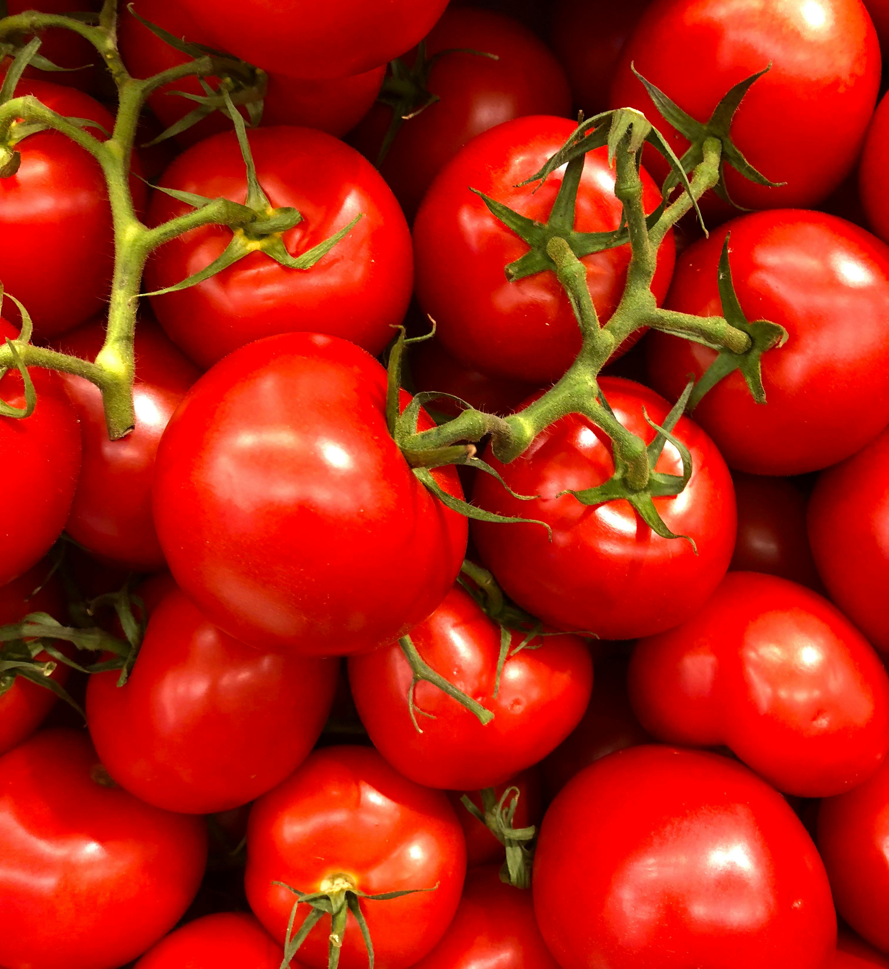 Fresh Tomatoes
